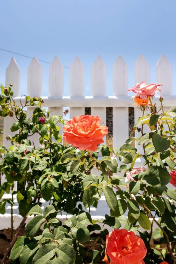 Serenity Home In Mesi Village Mési Exterior photo